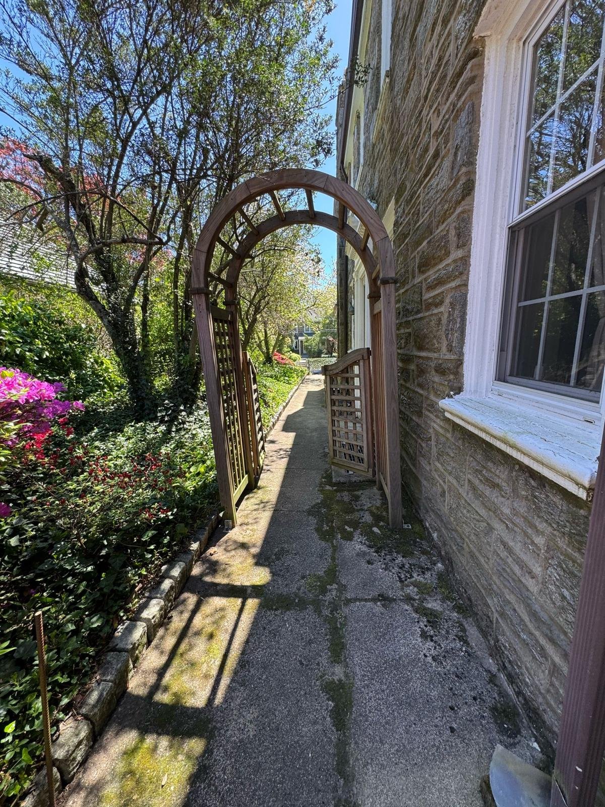Yard cleanup work by Green Force Property Services